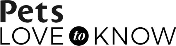 ltk_primary_black
